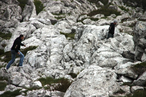 ../Images/2012.05.22 (140).jpg